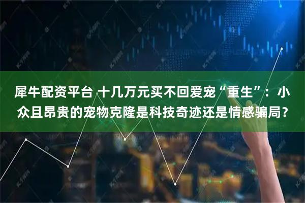 犀牛配资平台 十几万元买不回爱宠“重生”：小众且昂贵的宠物克隆是科技奇迹还是情感骗局？