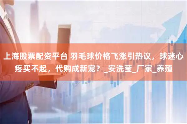 上海股票配资平台 羽毛球价格飞涨引热议，球迷心疼买不起，代购成新宠？_安洗莹_厂家_养殖