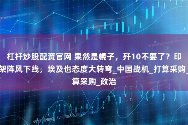 杠杆炒股配资官网 果然是幌子，歼10不要了？印尼首架阵风下线，埃及也态度大转弯_中国战机_打算采购_政治